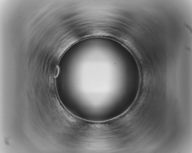 X0000100921281200807011258