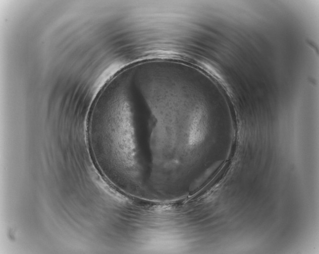 X0000100921283200807011258