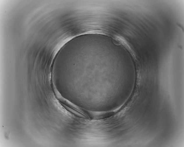 X0000100921284200807011258