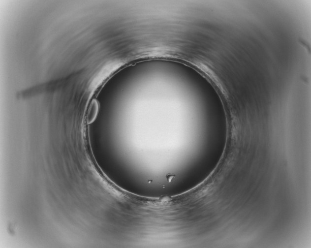 X0000100921285200807011258