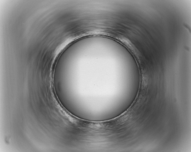 X0000100921286200807011258