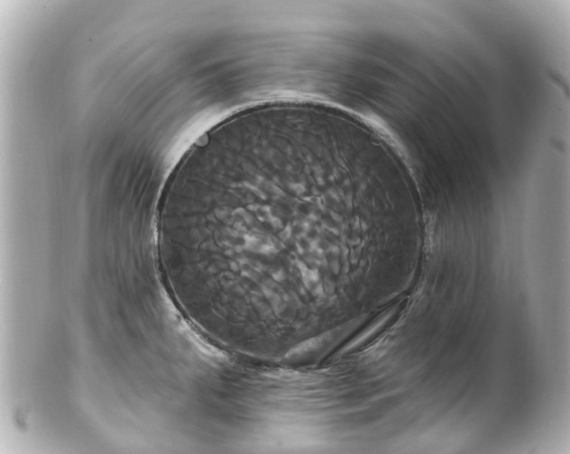 X0000100921287200807011258