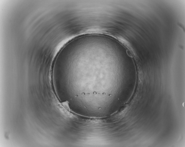 X0000100921288200807011258