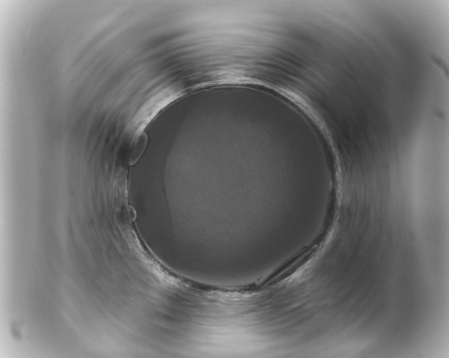 X0000100921289200807011258