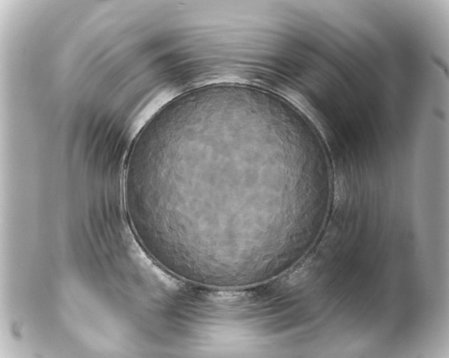 X0000100921290200807011258