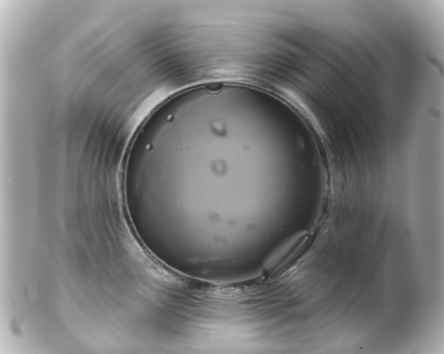 X0000100921291200807011258