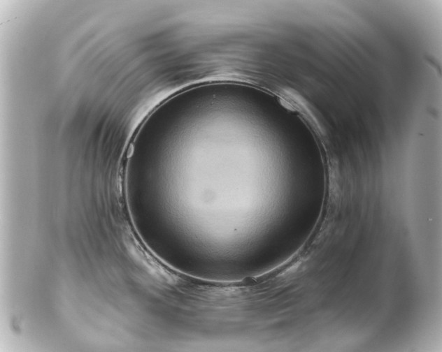 X0000100921292200807011258