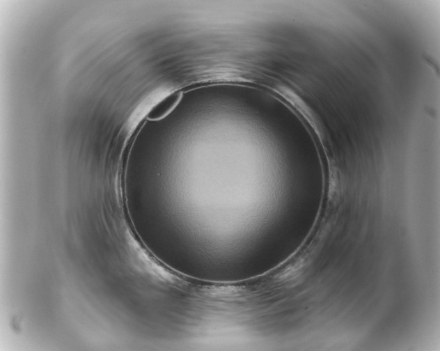 X0000100921293200807011258