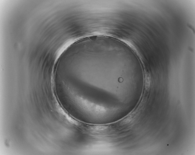 X0000100921294200807011258