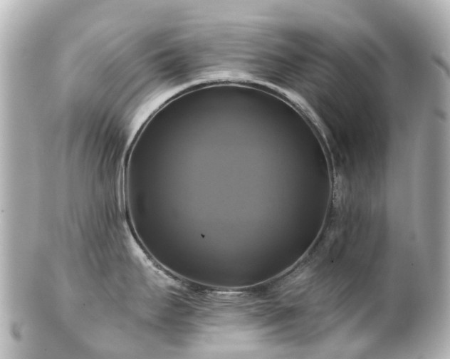 X0000100921295200807011258