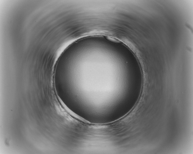 X0000100921296200807011258