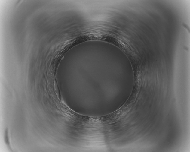 X0000100921297200807011257