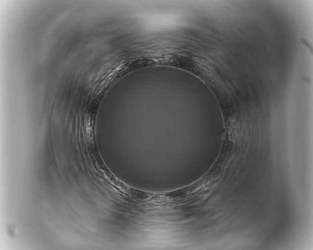 X0000100921298200807011257