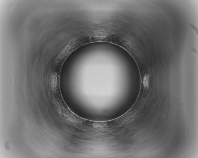 X0000100921299200807011257