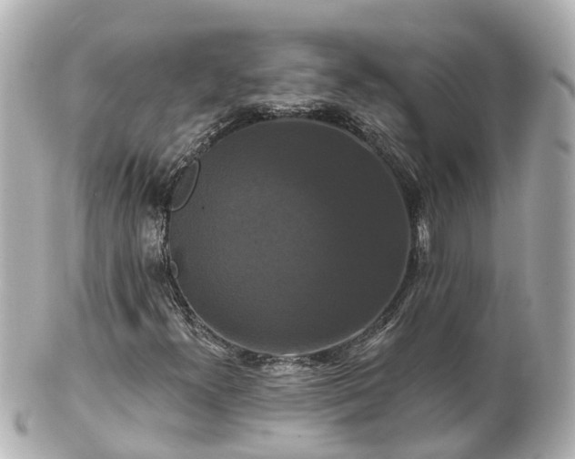 X0000100921300200807011257