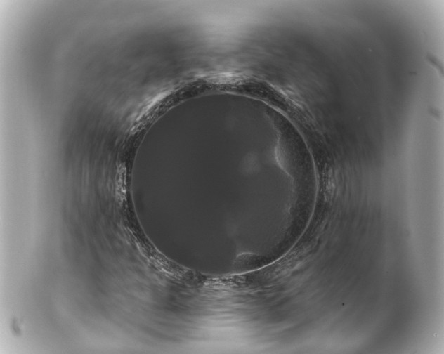 X0000100921301200807011257