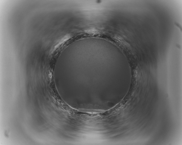 X0000100921302200807011257