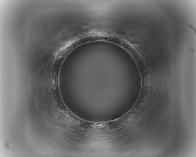 X0000100921303200807011257