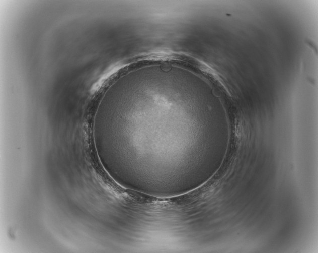 X0000100921304200807011257