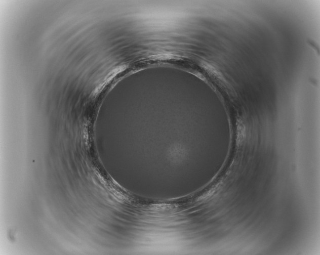 X0000100921305200807011257