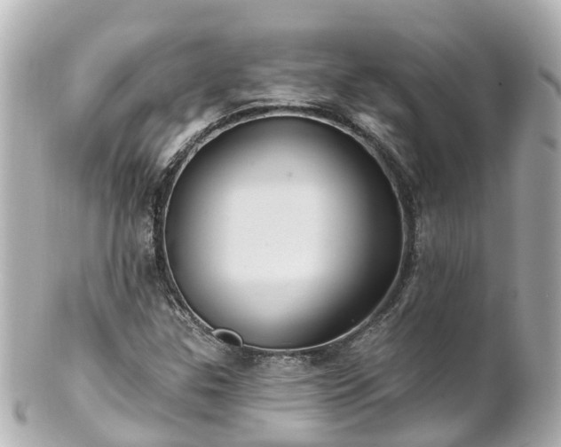 X0000100921307200807011257