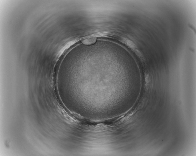 X0000100921308200807011257