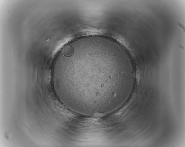 X0000100921309200807011257