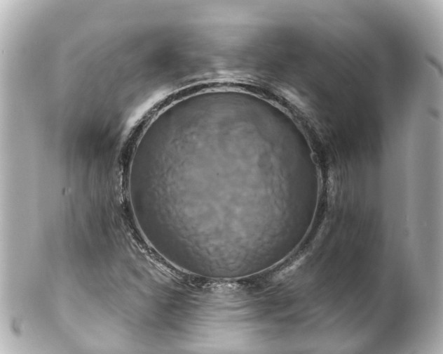 X0000100921310200807011257