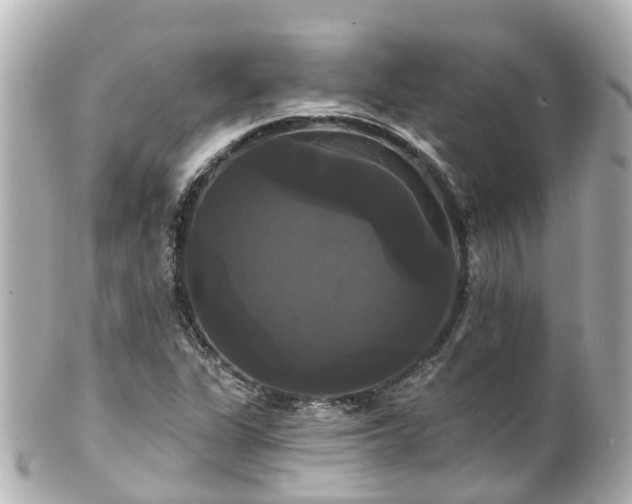 X0000100921311200807011257