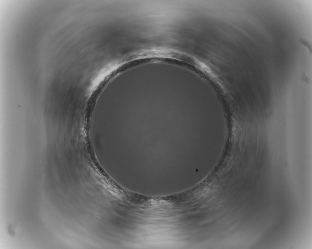 X0000100921312200807011257