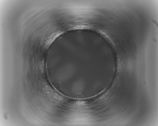 X0000100921313200807011257