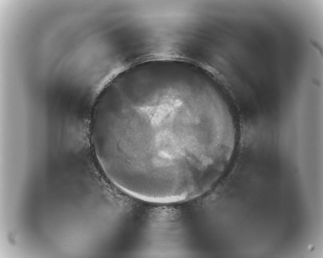 X0000100921314200807011257