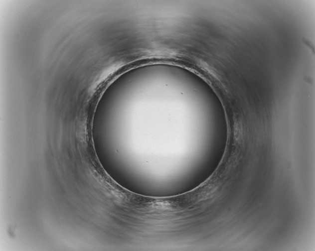 X0000100921315200807011257