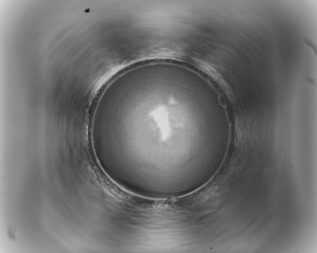 X0000100921316200807011257