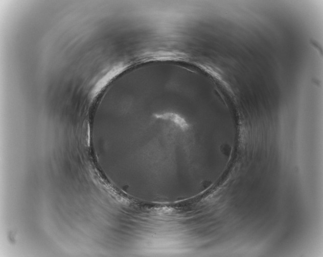 X0000100921317200807011257