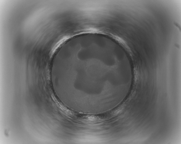 X0000100921318200807011258