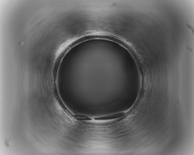 X0000100921319200807011258