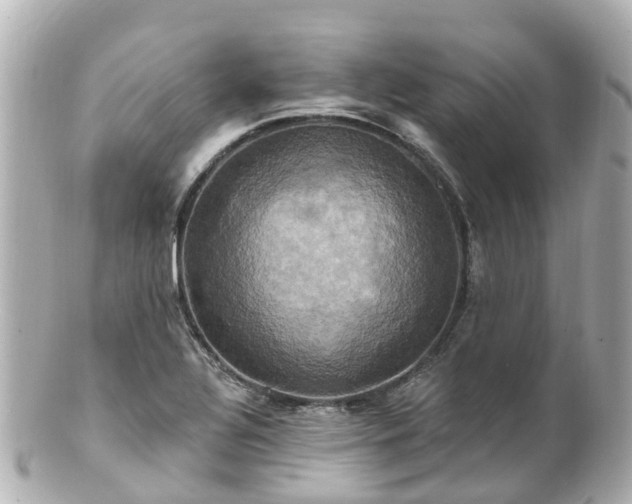 X0000100921320200807011258