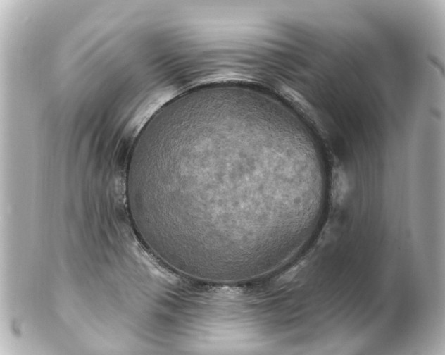 X0000100921321200807011258