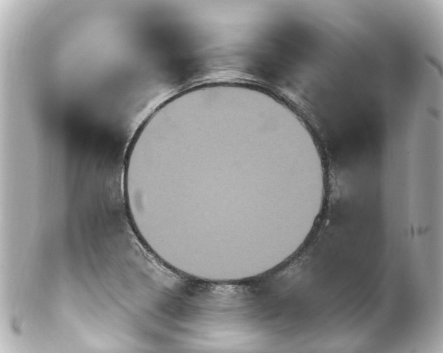 X0000100921322200807011258