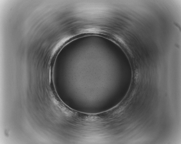 X0000100921323200807011258