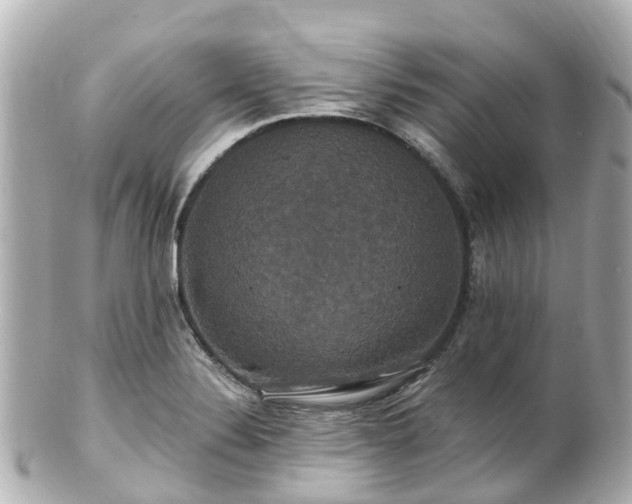 X0000100921324200807011258