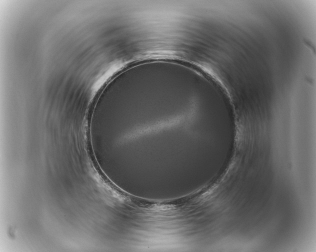 X0000100921325200807011258