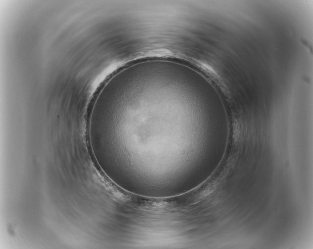 X0000100921326200807011258