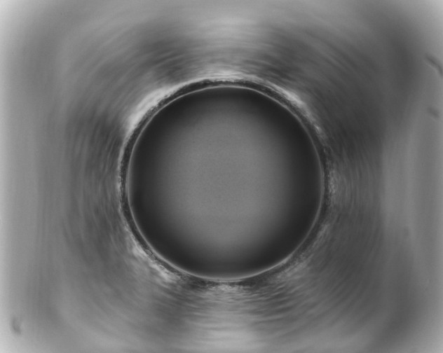 X0000100921327200807011258