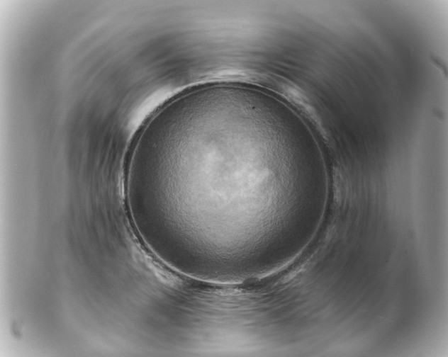 X0000100921328200807011258