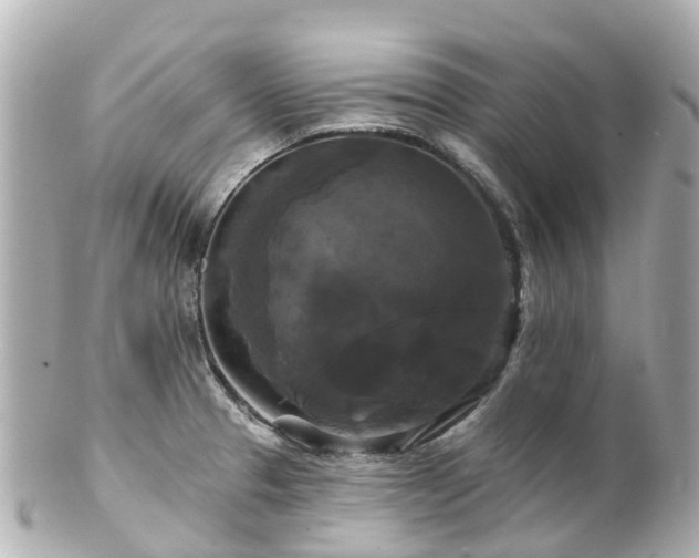 X0000100921329200807011258