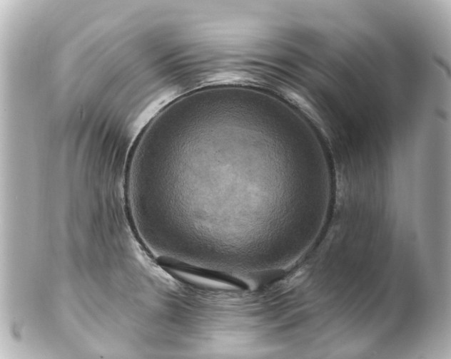 X0000100921330200807011258