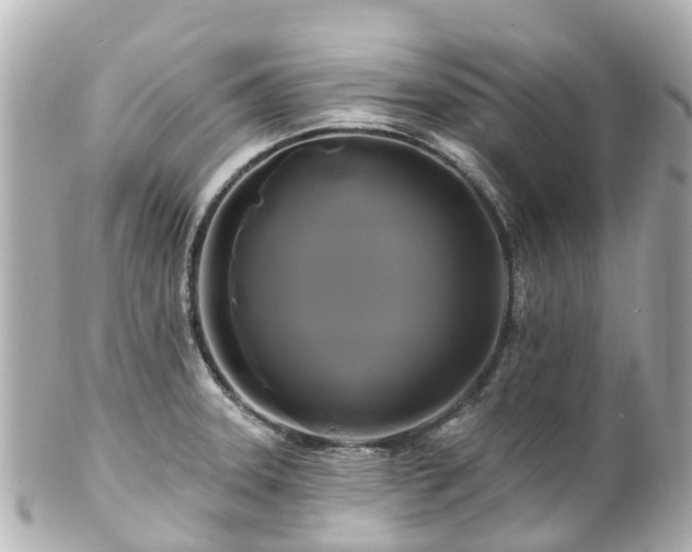 X0000100921331200807011258