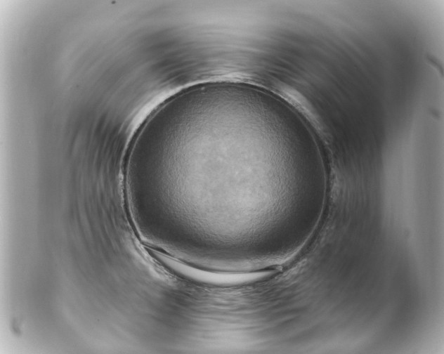 X0000100921332200807011258